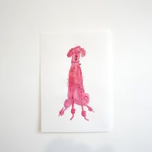 A Pink Poodle