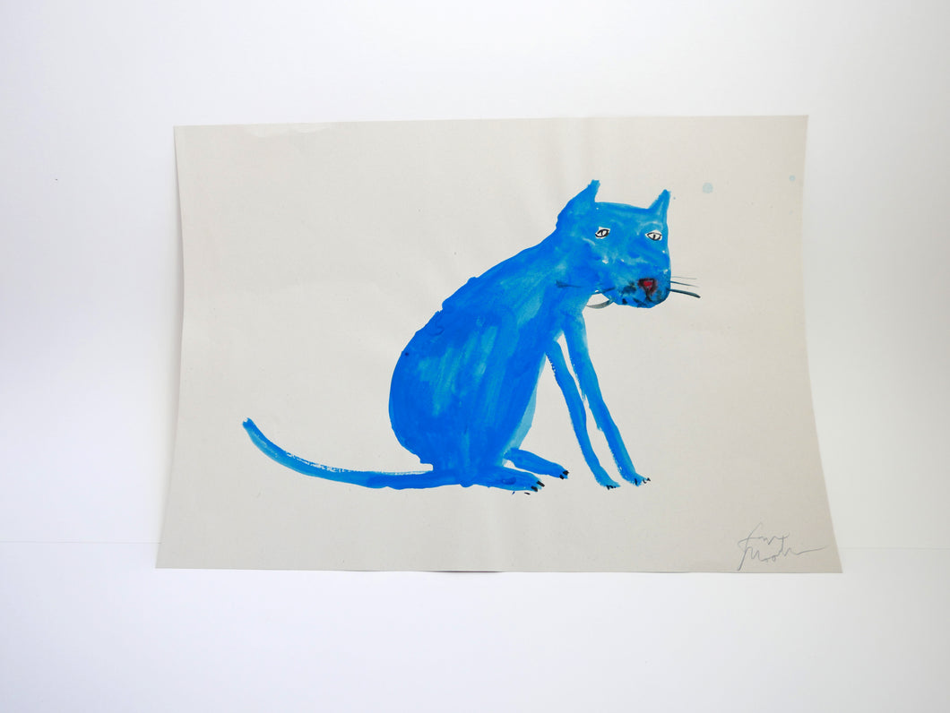 Bright Blue Cat