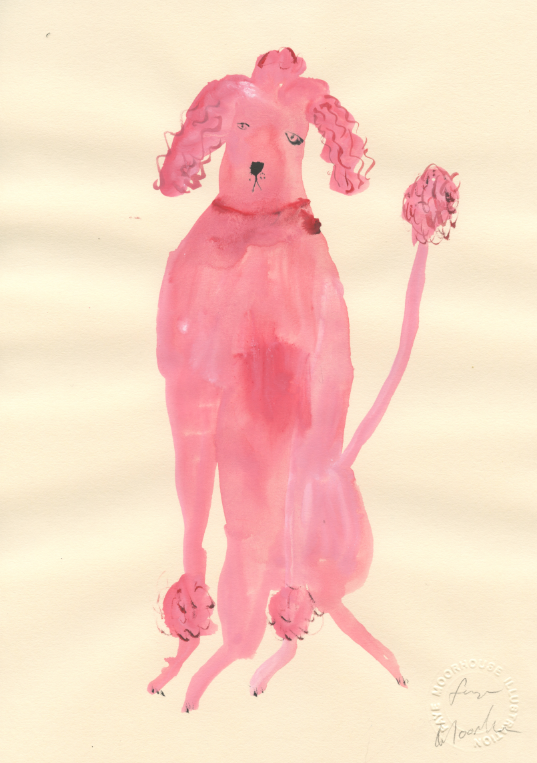 A Small Pink Poodle